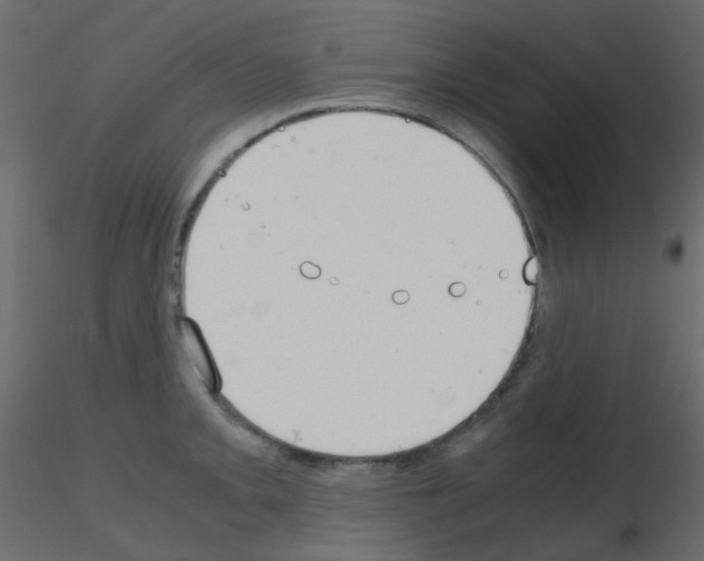 X0000115701093200912241517