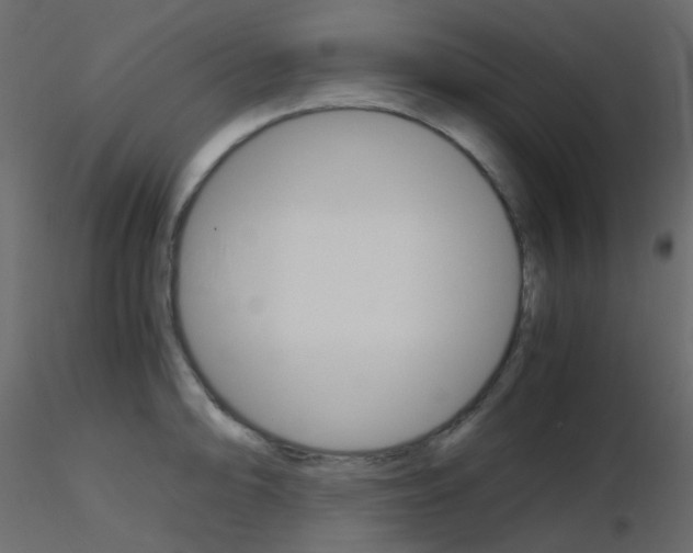 X0000115701094200912241517