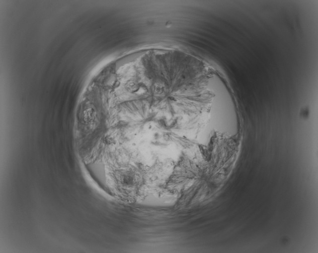 X0000115701095200912241517