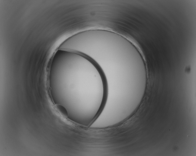 X0000115701096200912241517