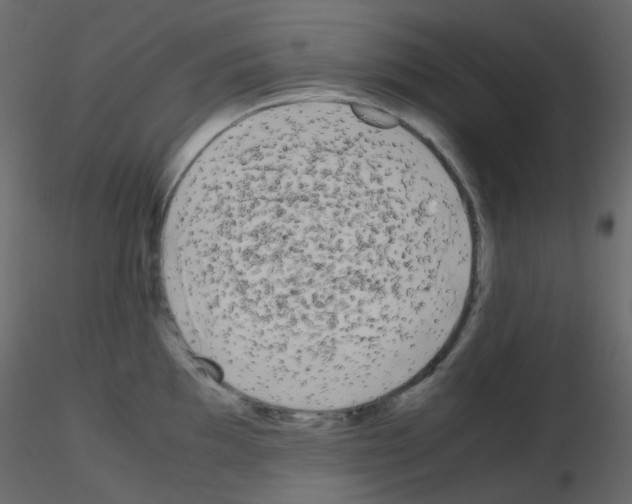 X0000115701097200912241517