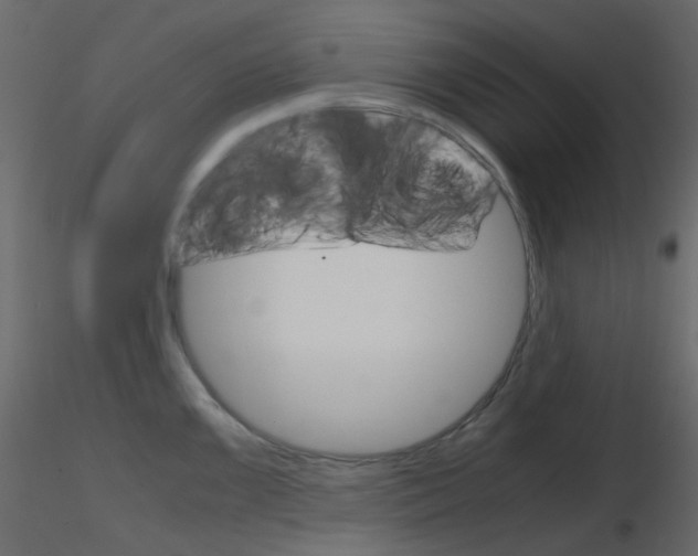 X0000115701099200912241517