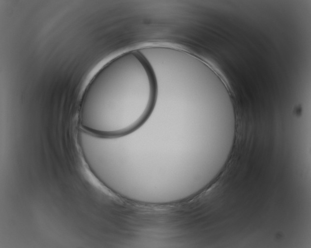 X0000115701100200912241517