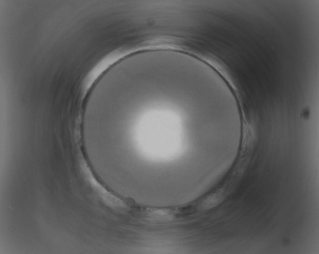 X0000115701101200912241517