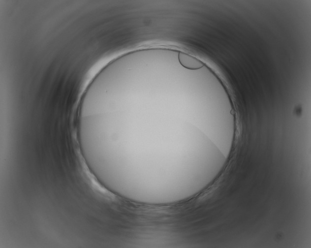 X0000115701102200912241517