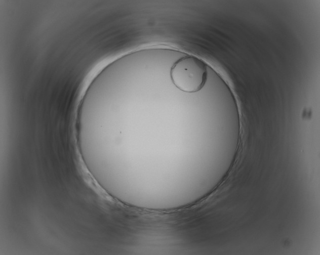 X0000115701104200912241517