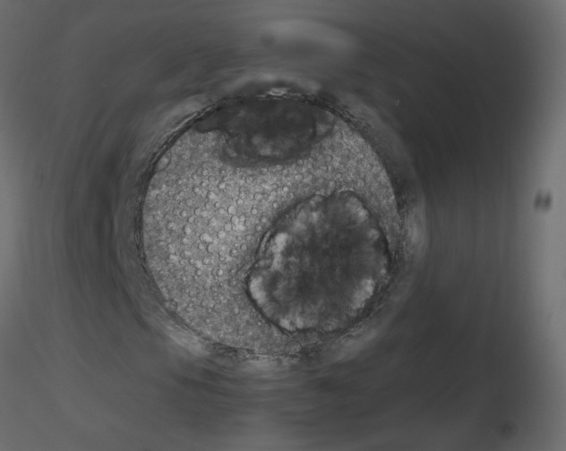 X0000115701105200912241517