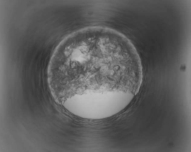 X0000115701106200912241517