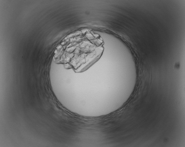 X0000115701110200912241517