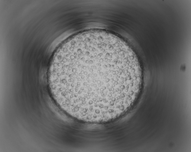 X0000115701113200912241517