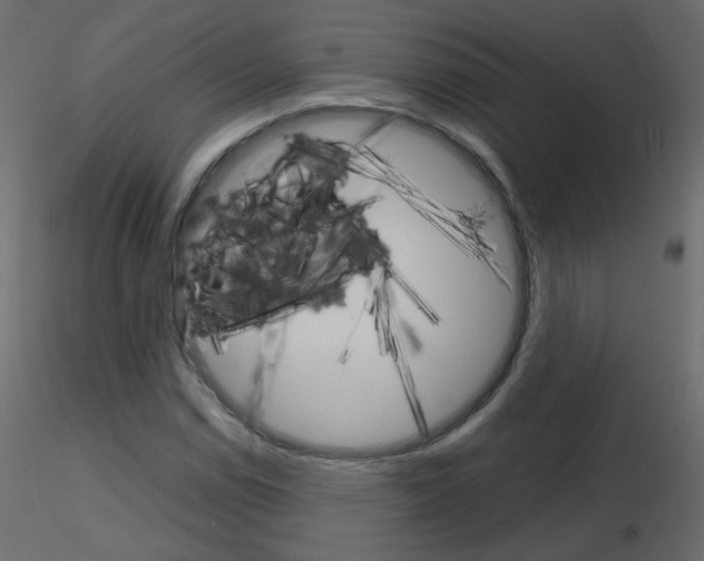 X0000115701114200912241517