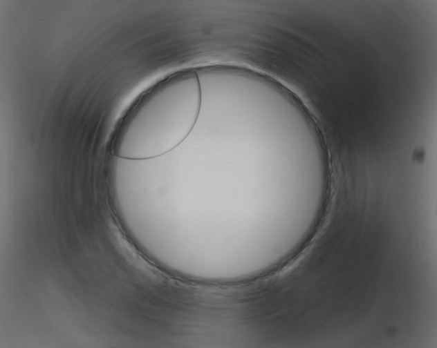 X0000115701118200912241517