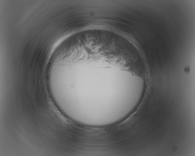 X0000115701119200912241517