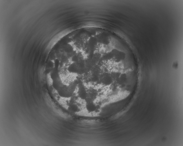 X0000115701121200912241517