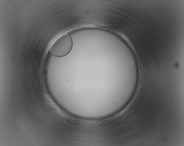 X0000115701122200912241517