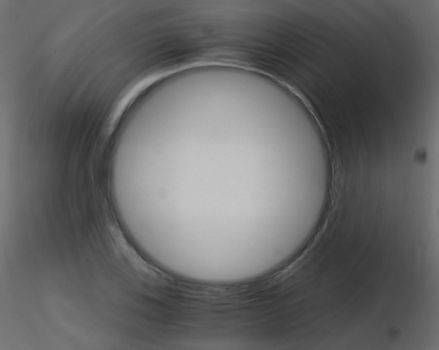 X0000115701123200912241517