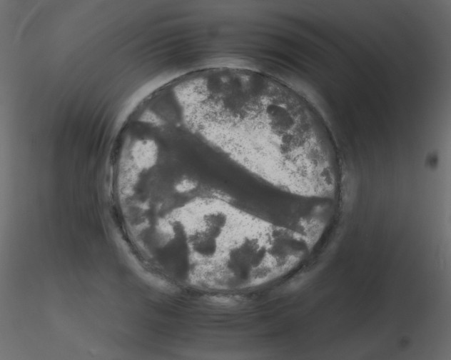 X0000115701125200912241517