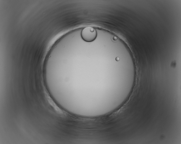 X0000115701127200912241517