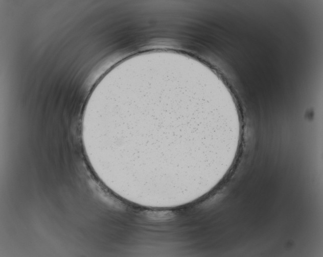 X0000115701129200912241517