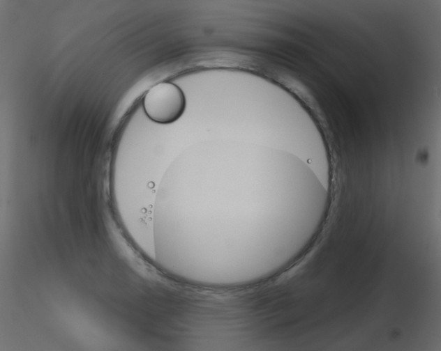 X0000115701130200912241517