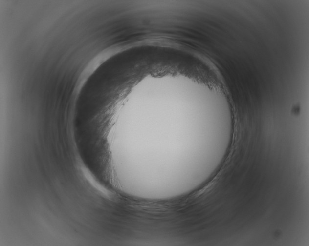 X0000115701131200912241517