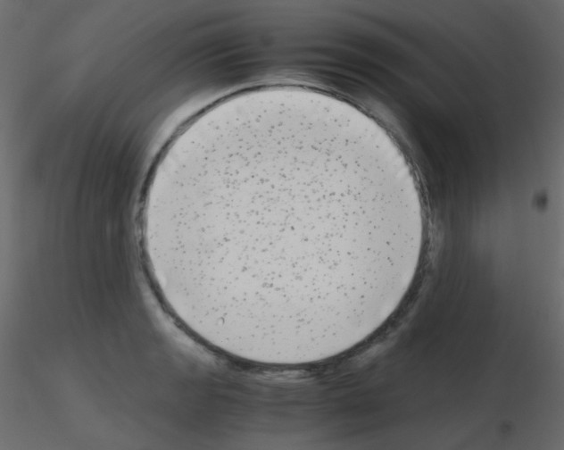 X0000115701133200912241517