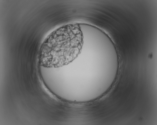 X0000115701134200912241517