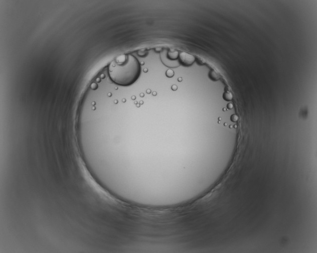 X0000115701135200912241517