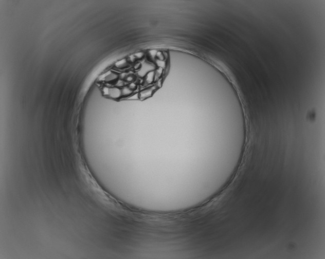 X0000115701138200912241517