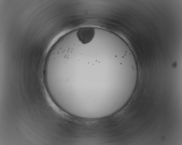 X0000115701139200912241517