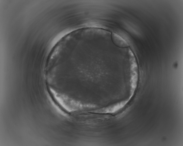 X0000115701141200912241517