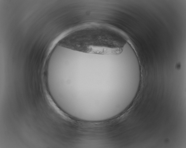 X0000115701142200912241517