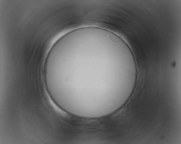 X0000115701143200912241517