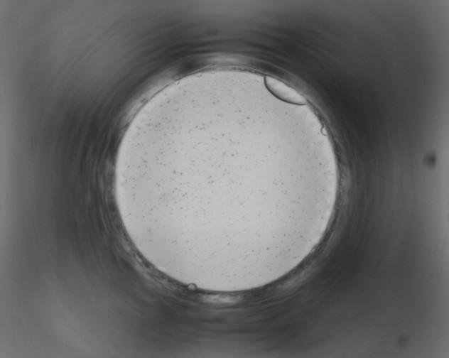 X0000115701145200912241517