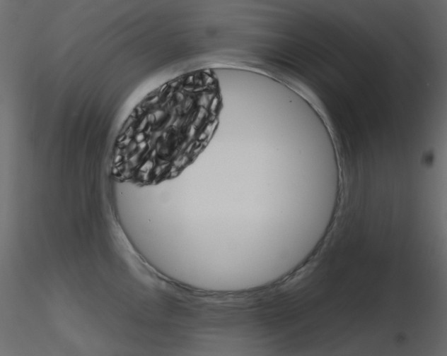 X0000115701146200912241517