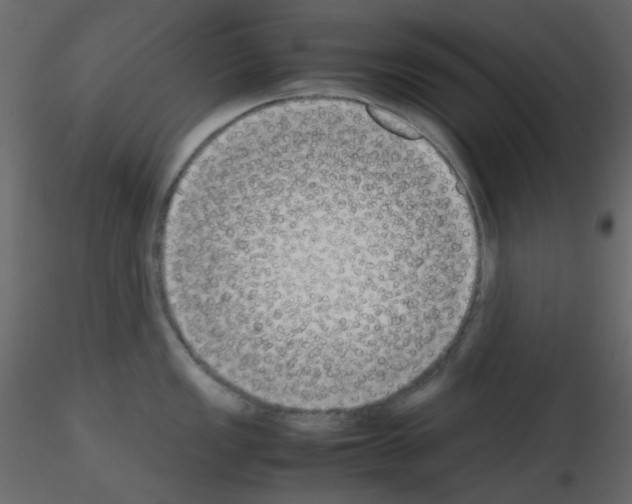 X0000115701149200912241517