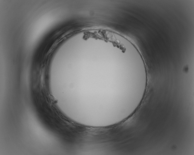 X0000115701150200912241517