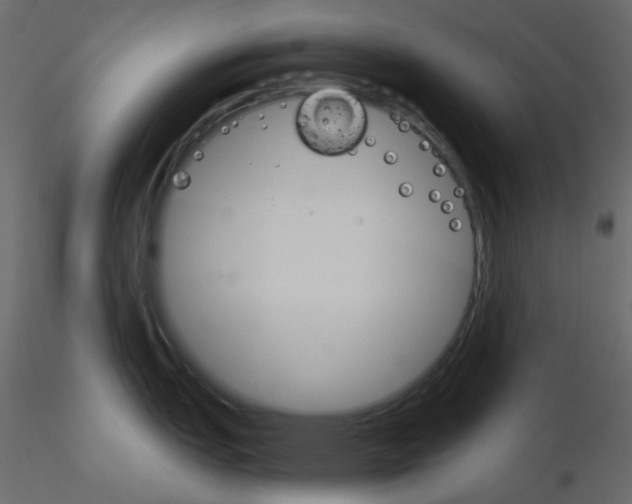 X0000115701151200912241517