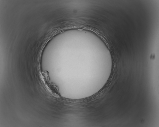 X0000115701153200912241517