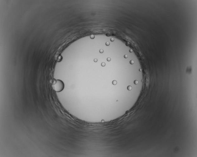 X0000115701154200912241517