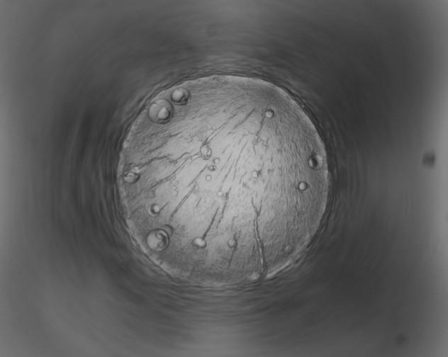 X0000115701155200912241517