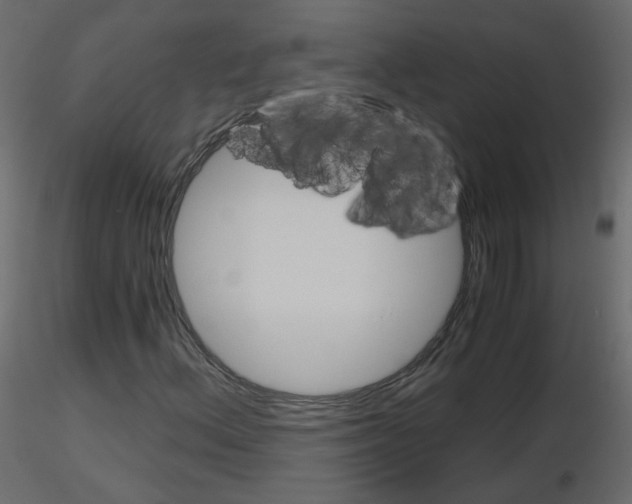 X0000115701156200912241517