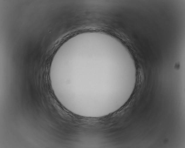 X0000115701158200912241517