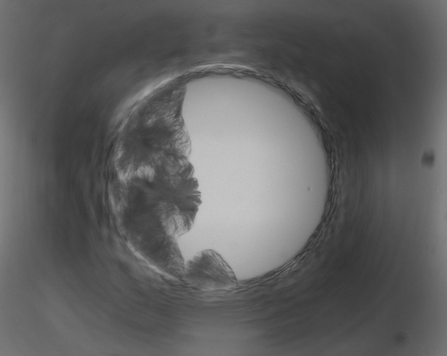 X0000115701159200912241516