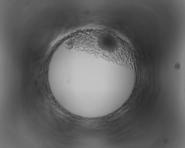 X0000115701160200912241516