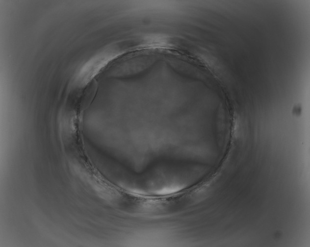 X0000115701161200912241516