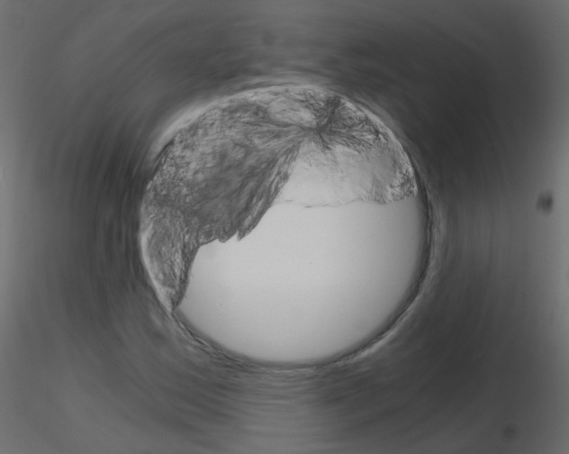 X0000115701163200912241516