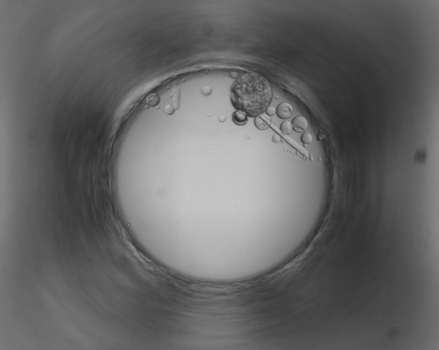 X0000115701164200912241516