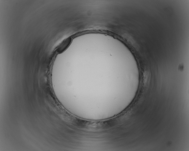 X0000115701165200912241516