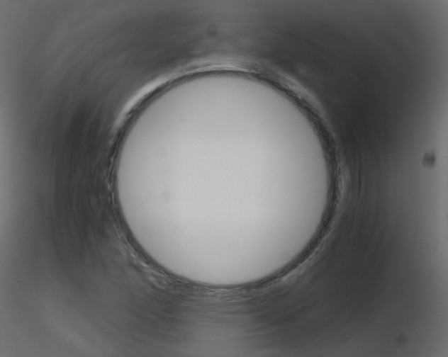 X0000115701166200912241516